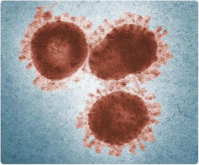 코로나바이러스 이미지 (사진 미국 질병통제예방센터)