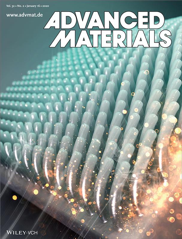 어드밴스드 머터리얼즈 (Advanced Materials) 2월호 표지.