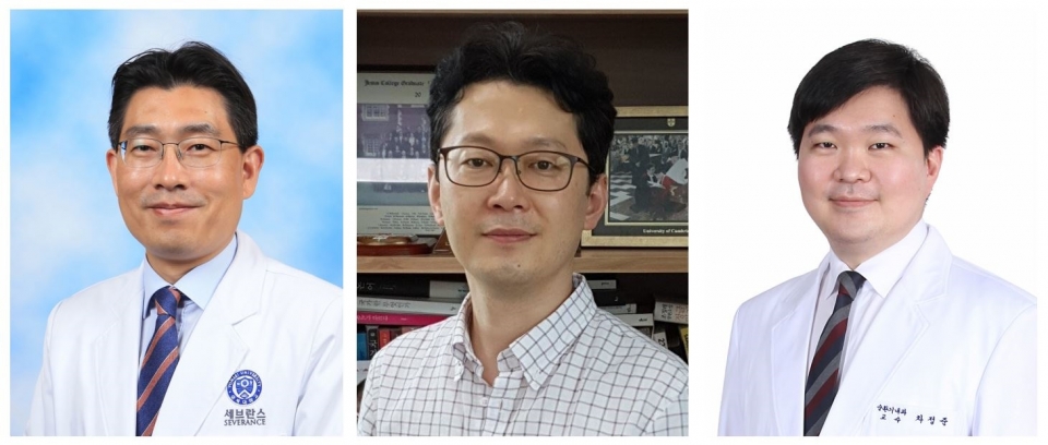 (왼쪽부터) 김중선 교수, 하진용 교수, 차정준 교수.