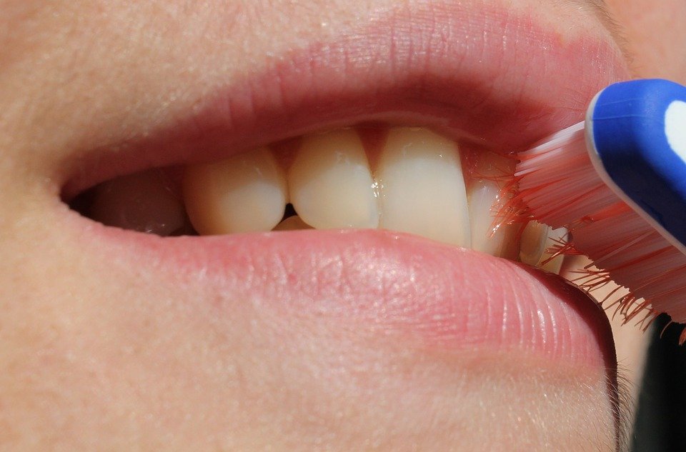 健康な歯の管理のためには、下の歯は下から上に、上の歯は上から下にブラシをかけるように滑らせ、奥歯の上の部分はこするように丁寧に磨くと良い。