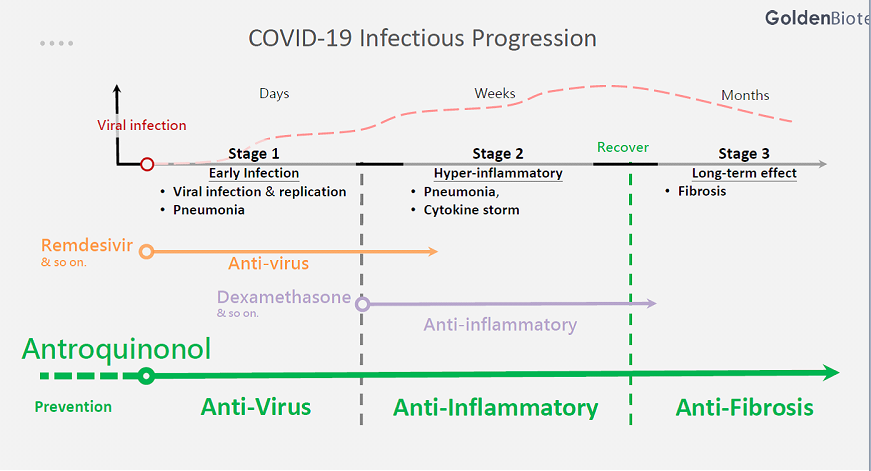 コロナ19ウイルス感染段階による治療薬物。 ゴールデンバイオテックの共有資料の一部