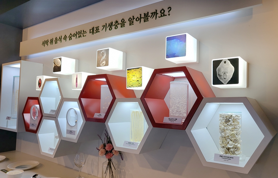 한국건강관리협회 기생충박물관에서 내년 1월 4일까지 손운목교수 기증 ‘밥상머리 기생충전'이 열린다.
