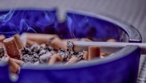 [단독] Nicotine promotes breast cancer lung metastasis