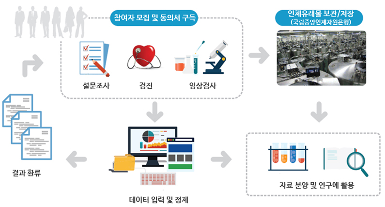 한국인유전체역학조사사업 수행체계