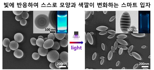 빛에 반응하는 계면활성제를 이용해 개발된 스마트 블록공중합체 입자 전자현미경 이미지(자료 제공 = KAIST 김범준 교수)