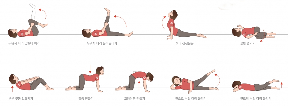 허리 근육 강화 운동