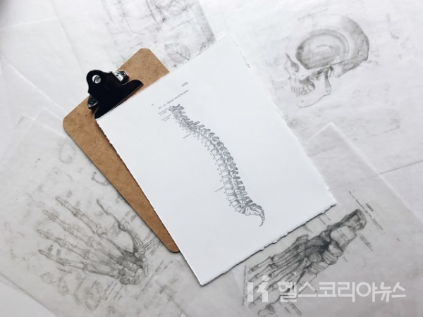 흉추란? 척추의 중간 부분을 차지하는 구조물이다. 몸통의 상측 뒷부분에 세로로 위치하고 있으며 경추와 요추 사이에 있다. 
