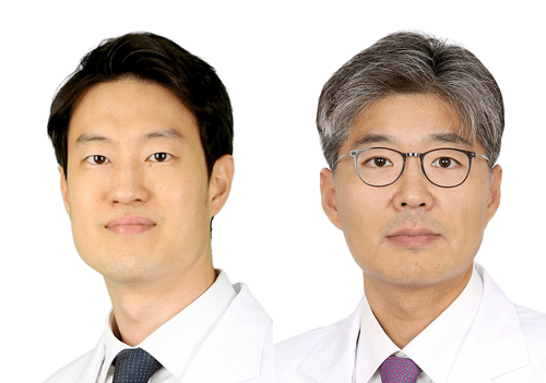 고려대학교 안암병원 산부인과 류기진 교수(외쪽)와 박현태 교수
