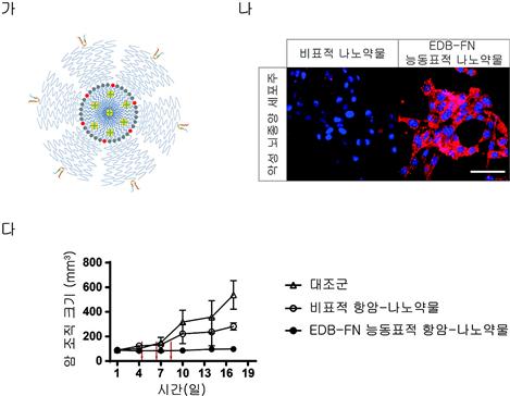 (가) 개발 EDB-FN 능동표적 항암-나노약물의 모식도. (나) 붉은색 형광체를 포함한 비표적 나노약물 비교, EDB-FN 능동표적 나노약물의 향상된 악성 뇌종양 약물 전달능 확인 결과(스케일바 = 100 μm). (다) 비표적 항암-나노약물 비교, EDB-FN 능동표적 항암-나노약물의 향상된 암 억제능 확인 결과