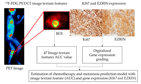 환자의 PET 영상과 Ki-67, Ezrin 유전자 분석을 통한 예측 모델 개요.(사진 한국원자력의학원 제공)
