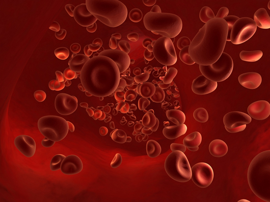 제대혈 혈액 피 혈관  백혈구·적혈구·혈소판 혈액세포 조혈모세포 <사진=포토애플/메디포토>