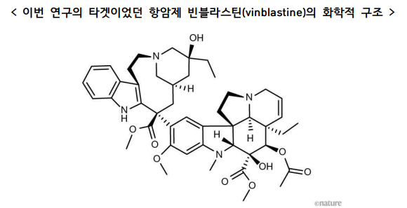 항암제 빈블라스틴(vinblastine)의 화학적 구조 [사진=국가생명공학정책연구센터]