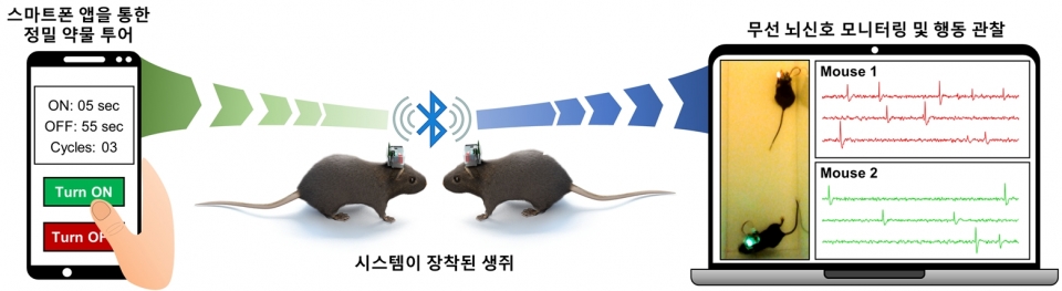 시스템이 장착된 생쥐에 스마트폰 앱으로 실시간 약물 투여 및 무선 뇌신호 모니터링에 관한 이해도 [사진=고려대의료원 제공]