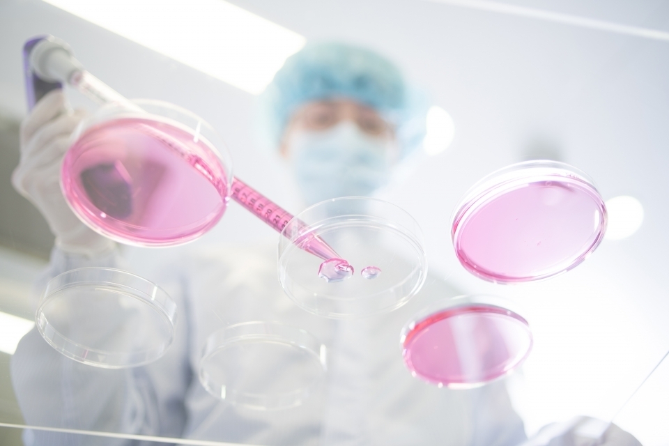 국내 한 기업의 연구진이 줄기세포 치료제 개발에 몰두하고 있는 모습.