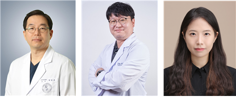 (왼쪽부터) 구로병원 이비인후과 박일호 교수, 박주후 연구교수, 문지원 임상강사